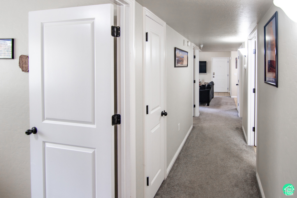 Hallway with carpet and a textured ceiling