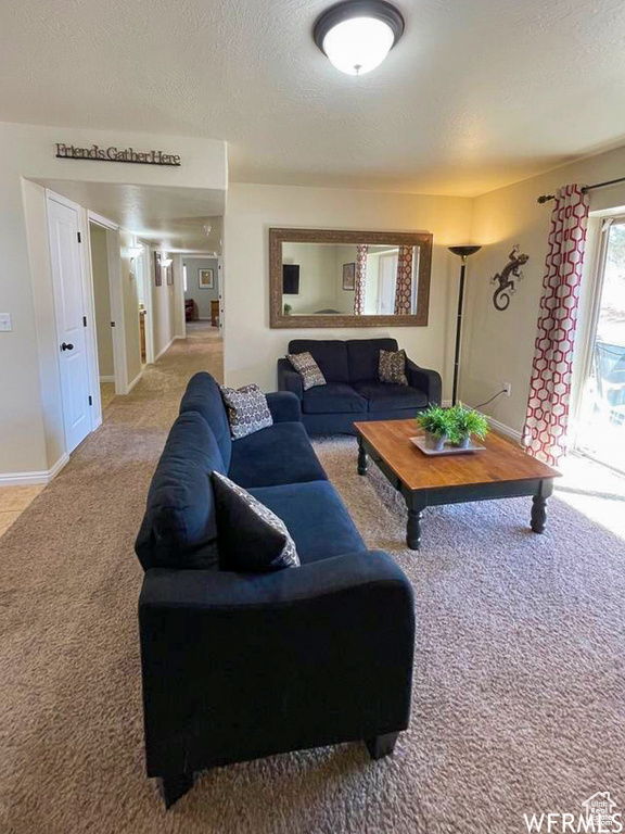 Carpeted living room with a textured ceiling