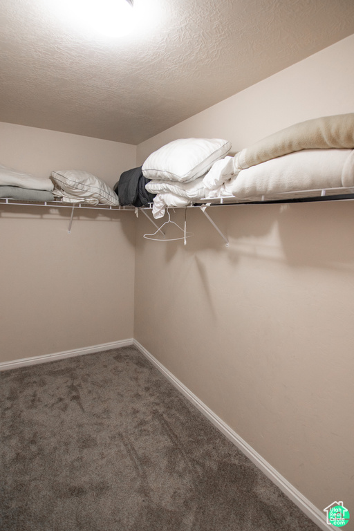 Walk in closet featuring carpet flooring