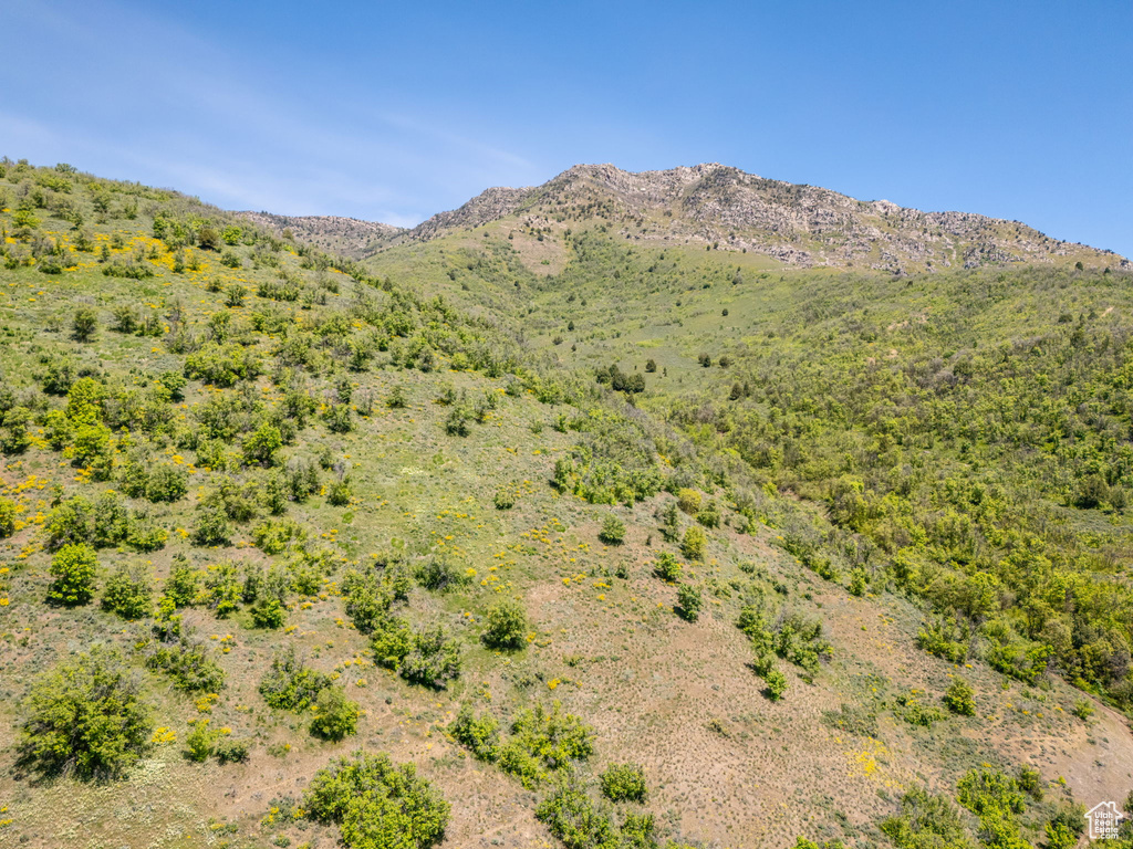 View of mountain background