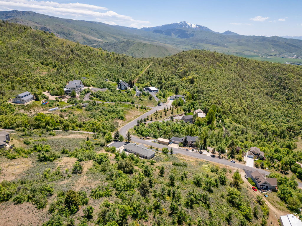 Bird's eye view of a heavily wooded area and a mountain backdrop