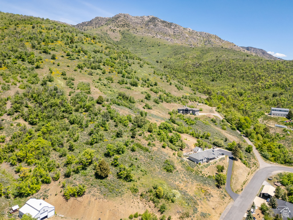 Drone / aerial view of a mountainous background