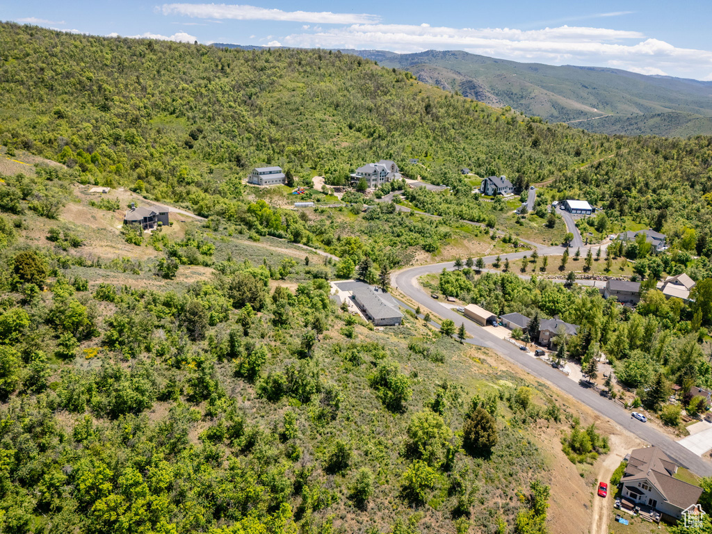 Aerial view of a heavily wooded area and a mountainous background