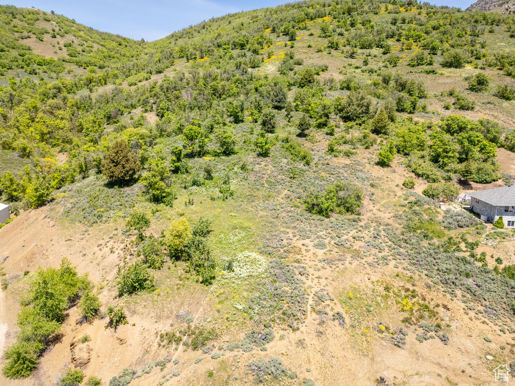 View of mountain background