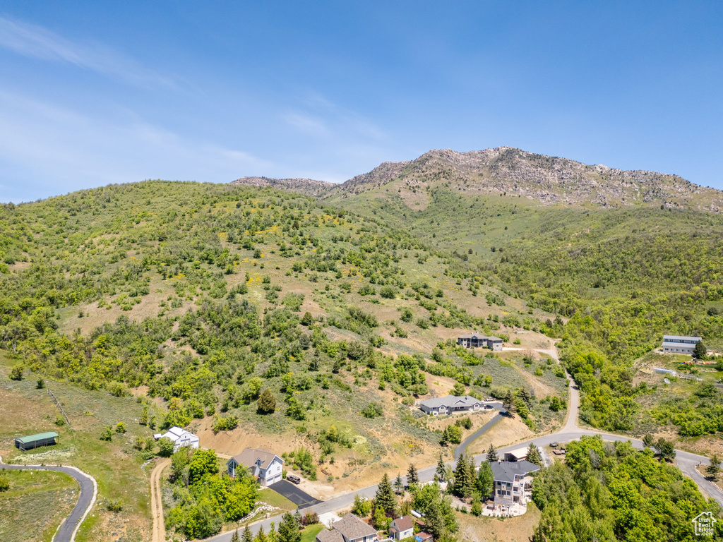 Drone / aerial view of a mountain backdrop