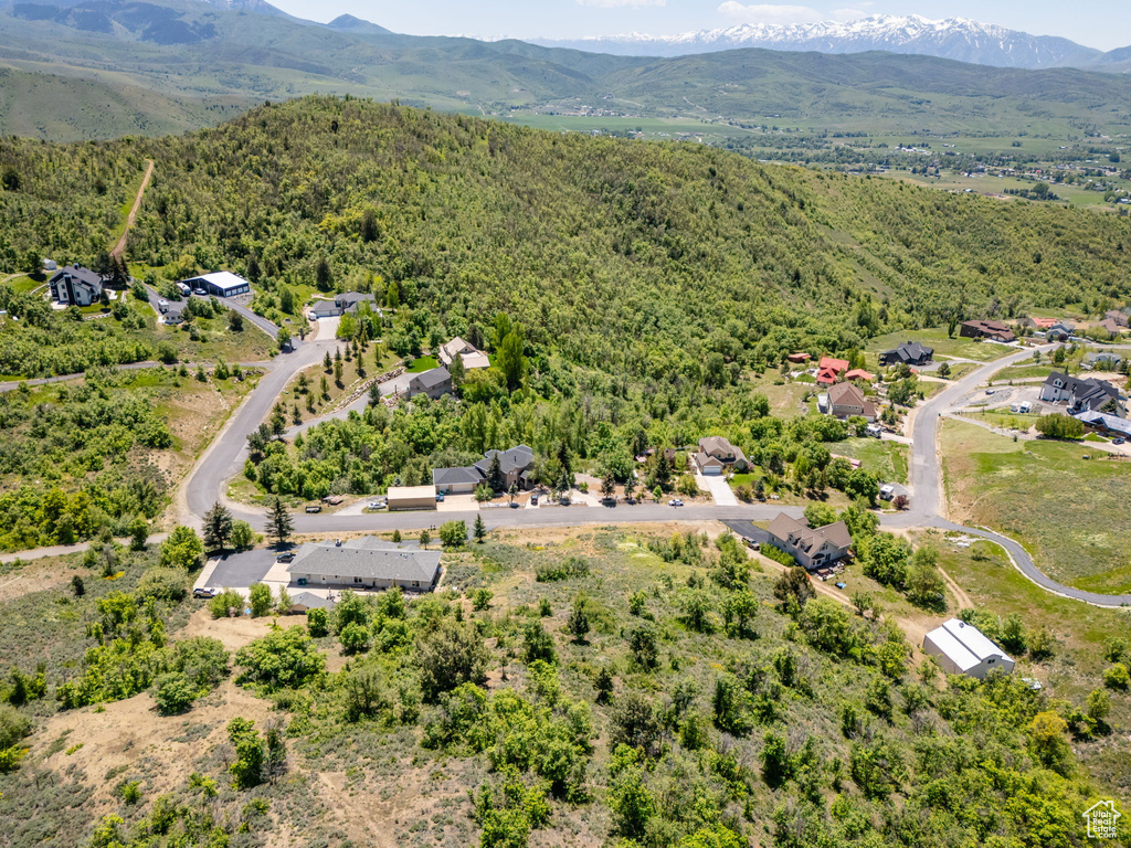 Drone / aerial view of a mountainous background and a heavily wooded area