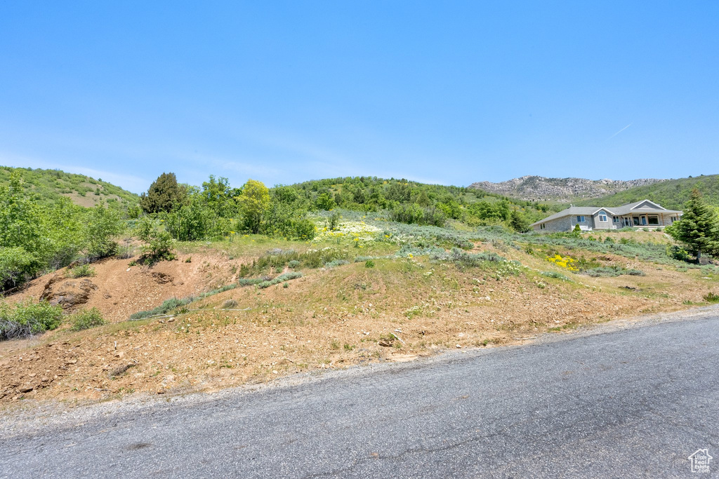 View of asphalt road