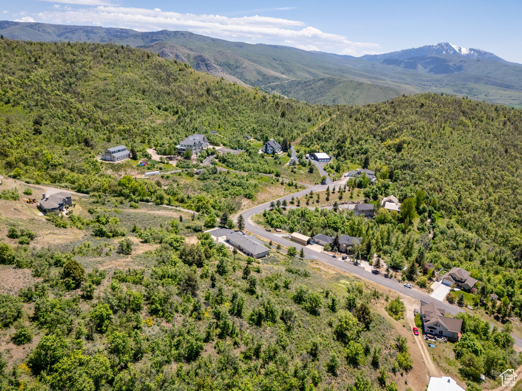 Bird's eye view of a heavily wooded area and a mountainous background