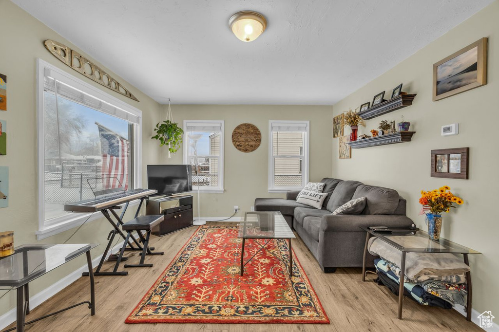 Living room featuring light hardwood / wood-style flooring