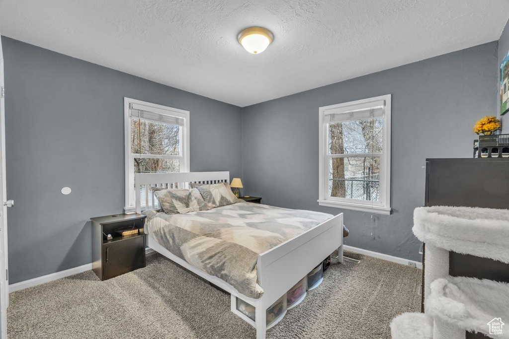 Bedroom featuring carpet flooring and a textured ceiling
