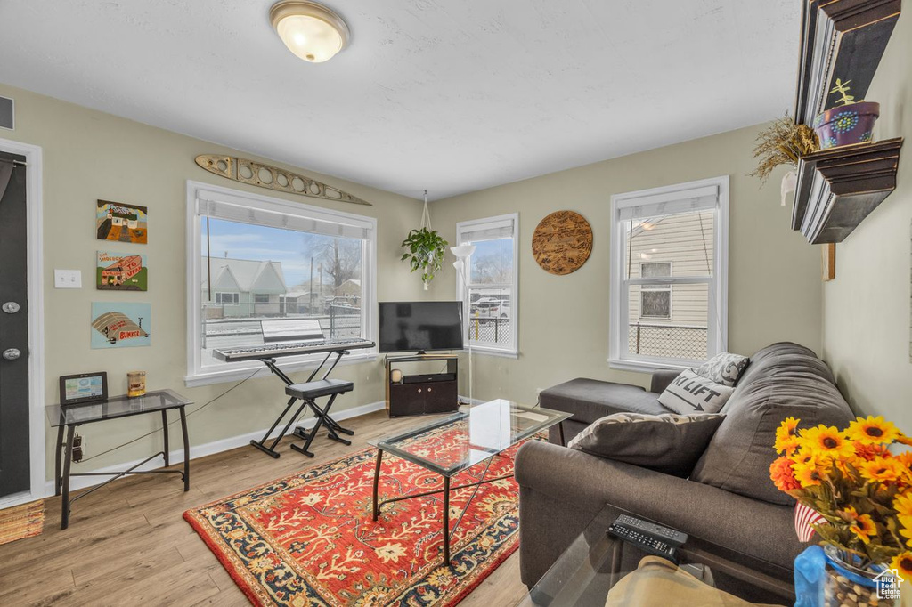 Living room featuring light wood-type flooring
