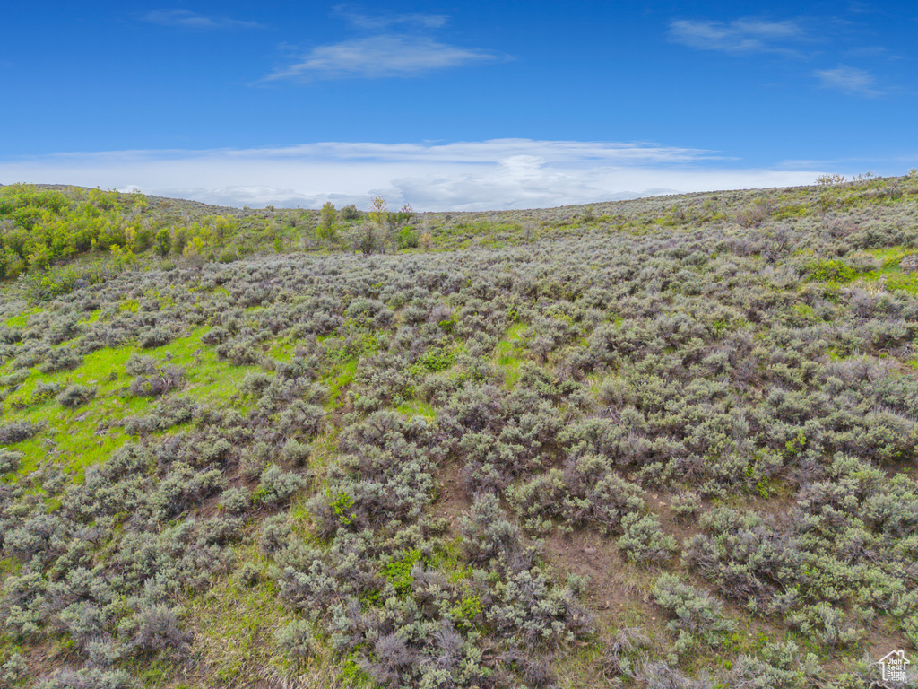 View of undeveloped land