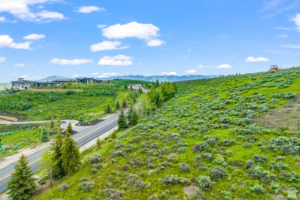 View from above of property