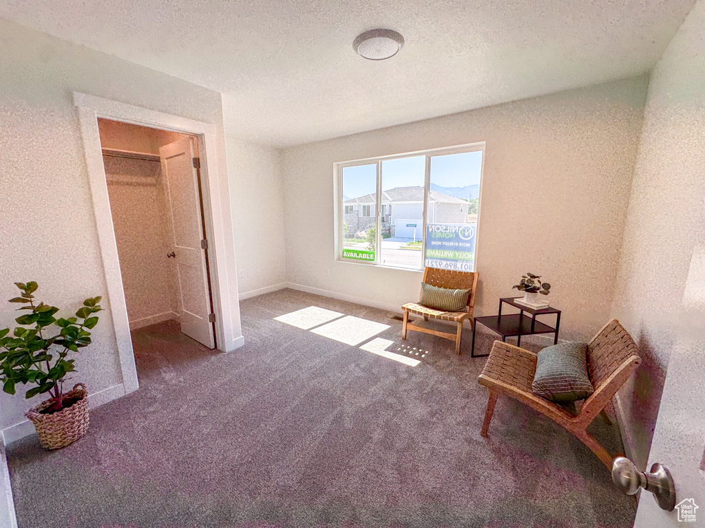Living area with carpet floors and a textured ceiling