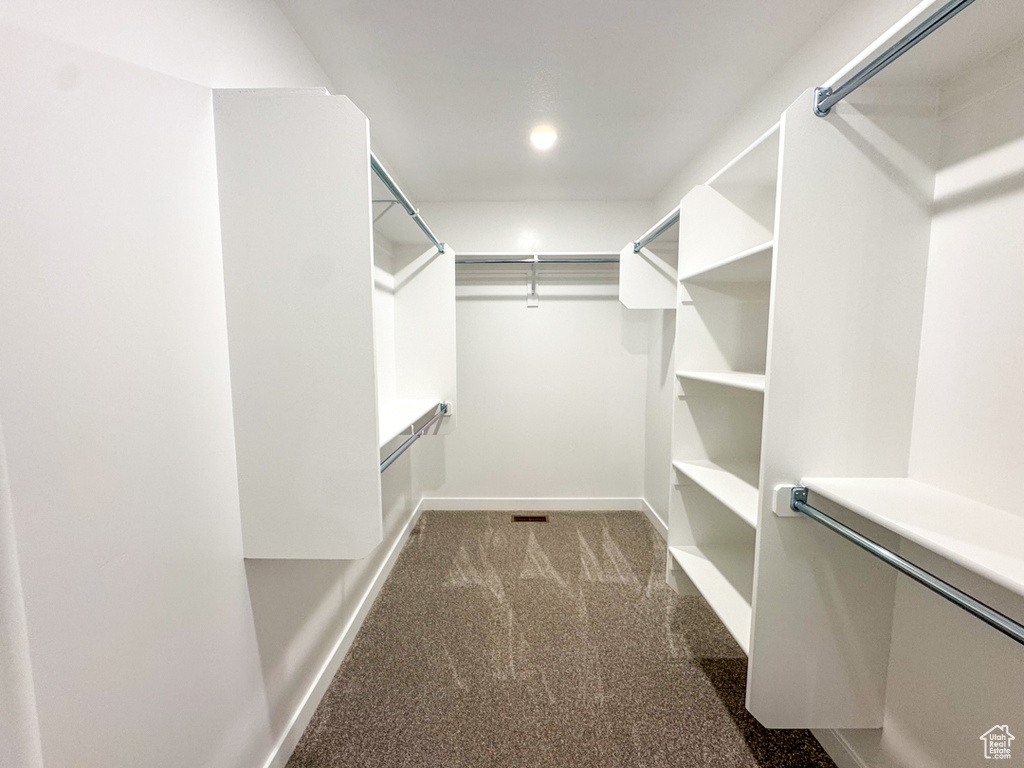 Walk in closet featuring carpet