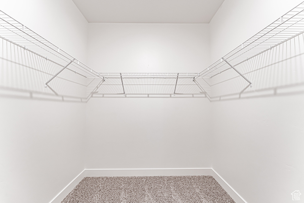 Walk in closet featuring carpet