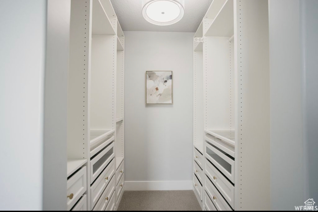 Spacious closet with light carpet