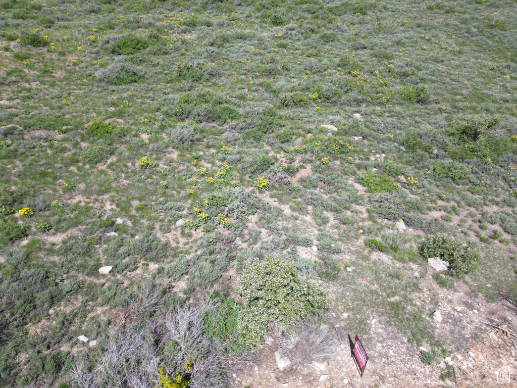 View of nature