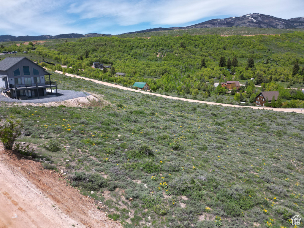 View of mountain backdrop with a heavily wooded area