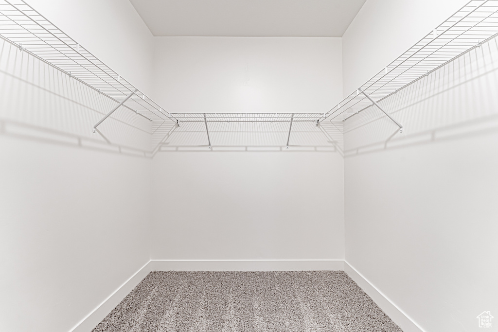 Spacious closet featuring carpet flooring