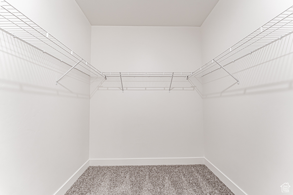 Spacious closet with carpet flooring