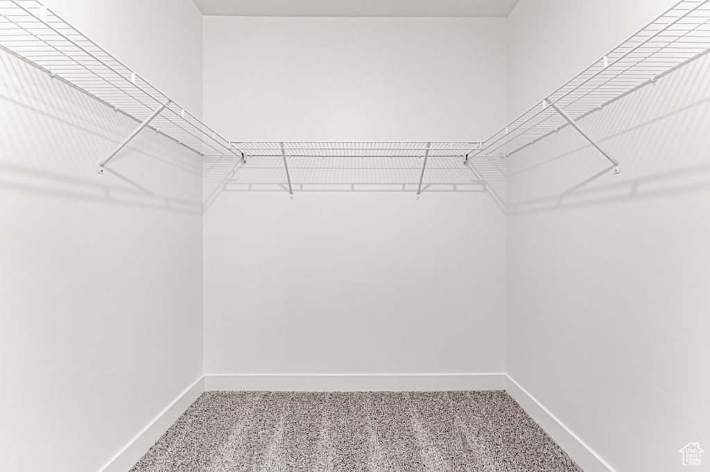 Spacious closet with carpet floors