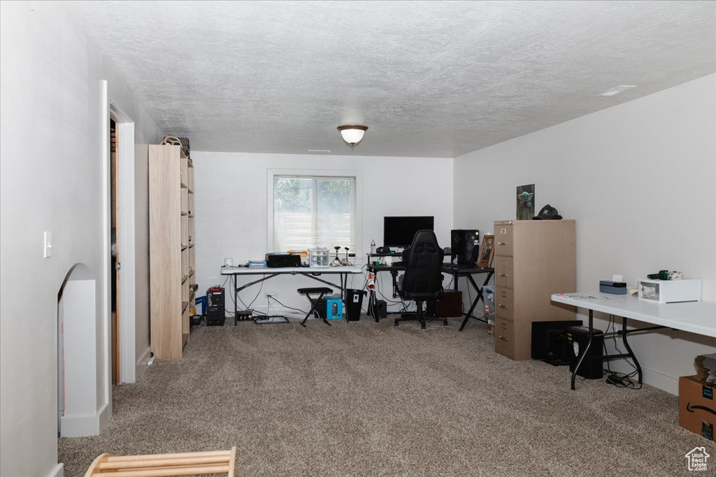 Office featuring carpet floors and a textured ceiling