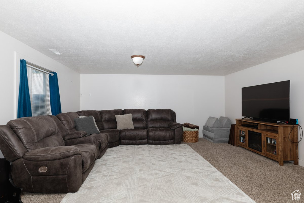 Carpeted living room featuring a textured ceiling