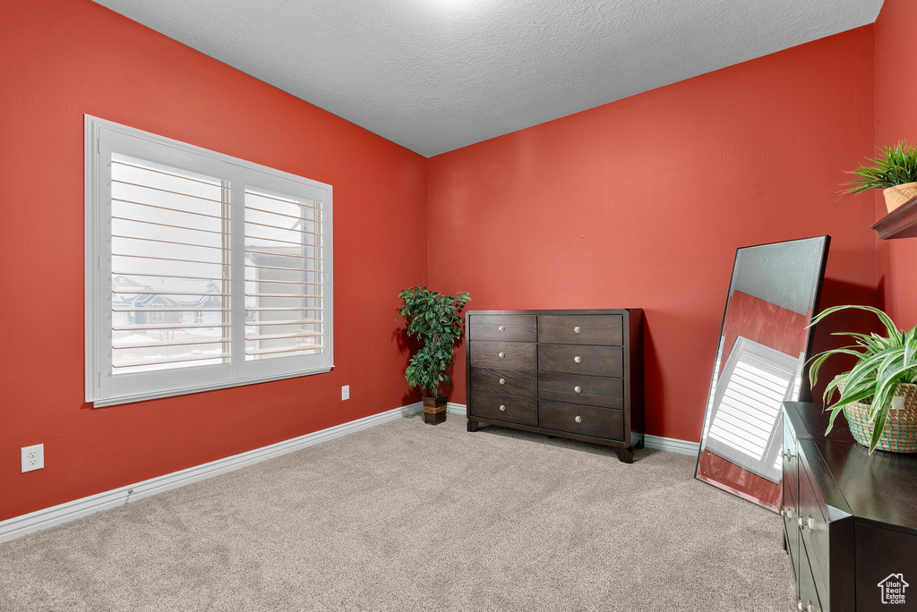 Carpeted bedroom featuring a textured ceiling