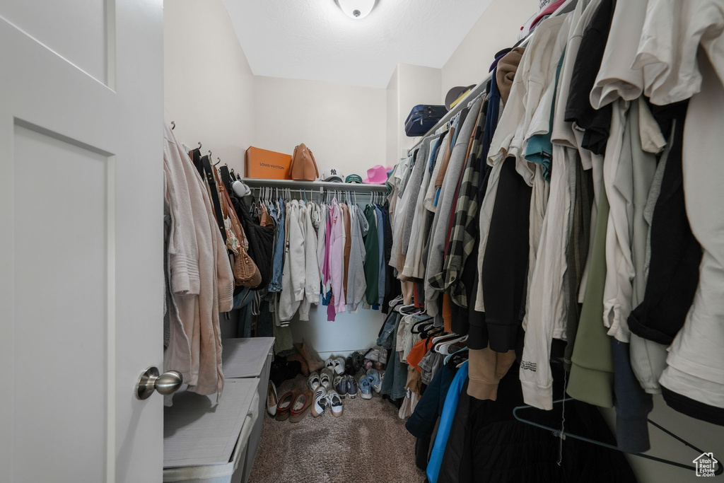 Spacious closet featuring carpet flooring
