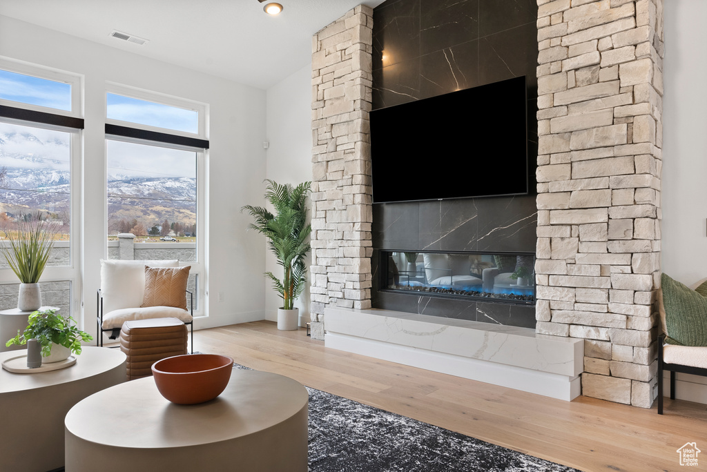 Living room featuring wood-type flooring and a fireplace