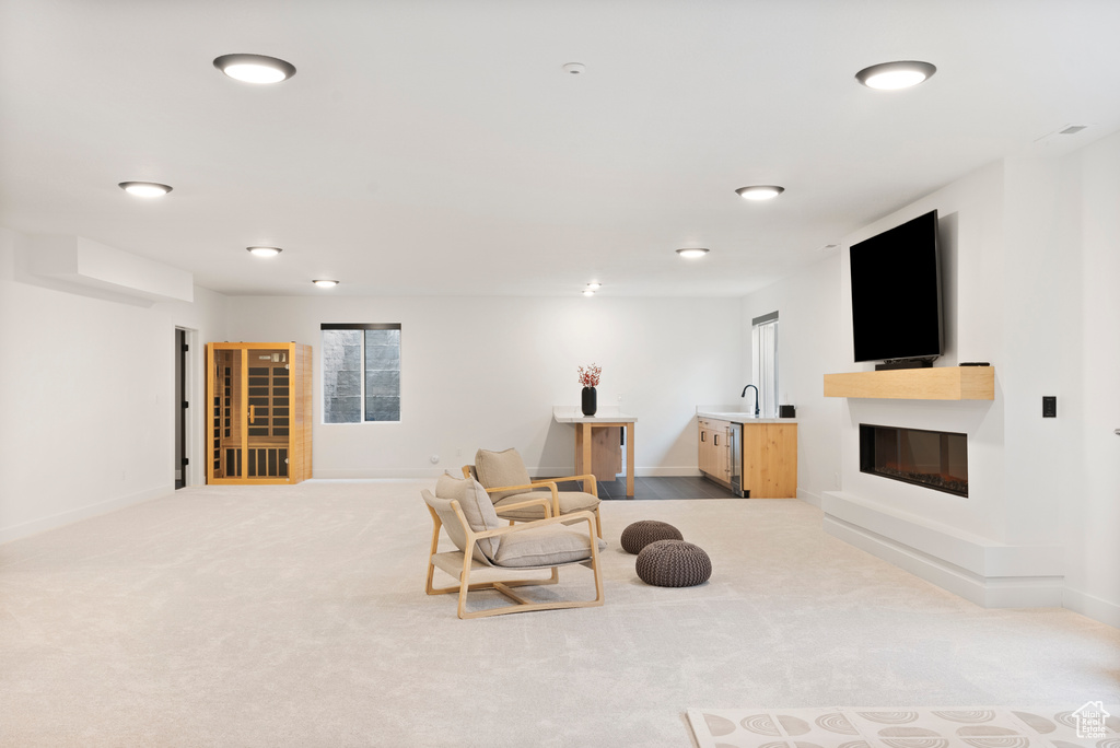 Sitting room with light carpet and sink