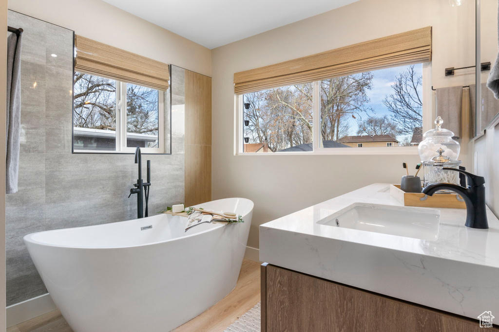 Bathroom featuring a washtub, vanity, and hardwood / wood-style flooring