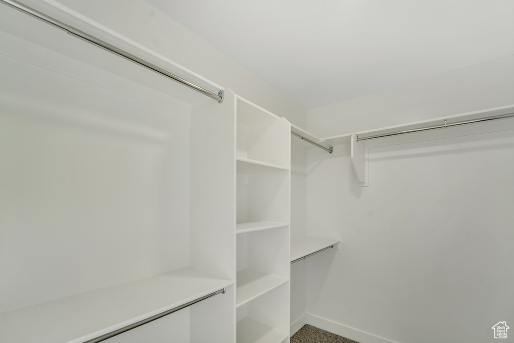 Spacious closet featuring carpet floors