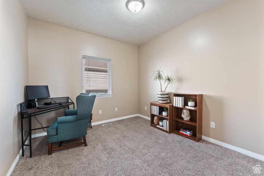 Office space featuring carpet flooring