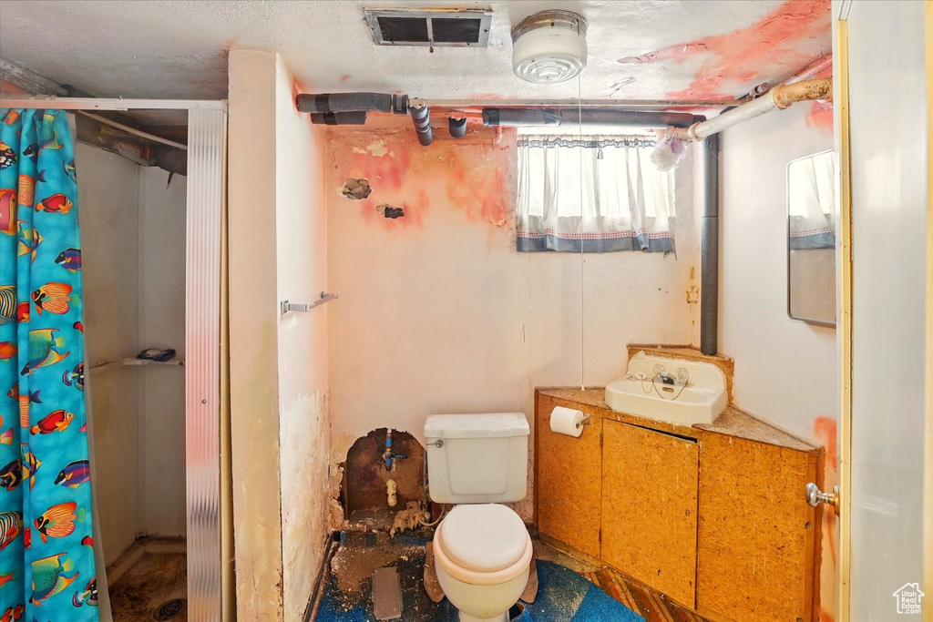 Full bathroom featuring curtained shower, toilet, and vanity