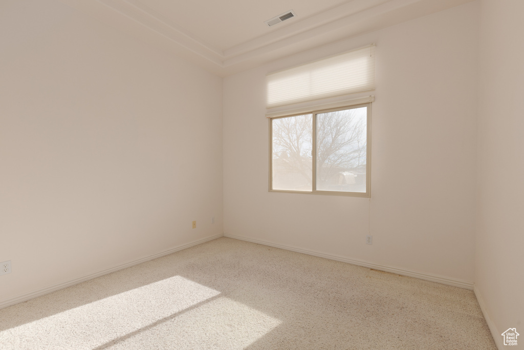 Spare room featuring carpet and ornamental molding