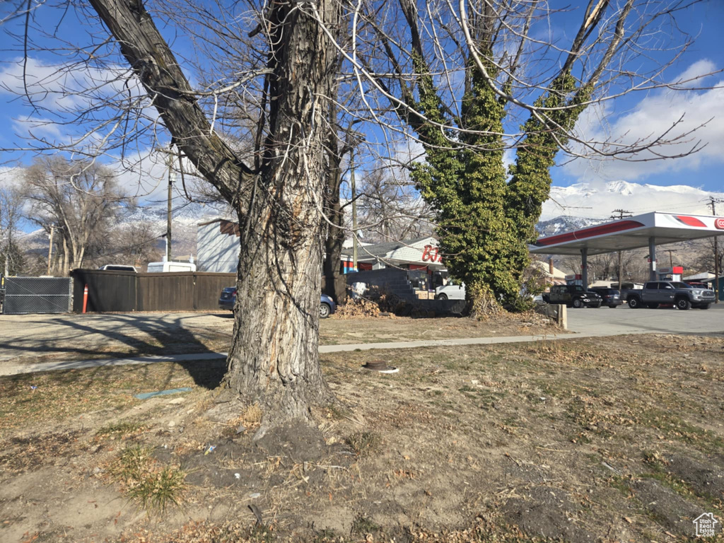 View of yard featuring a carport