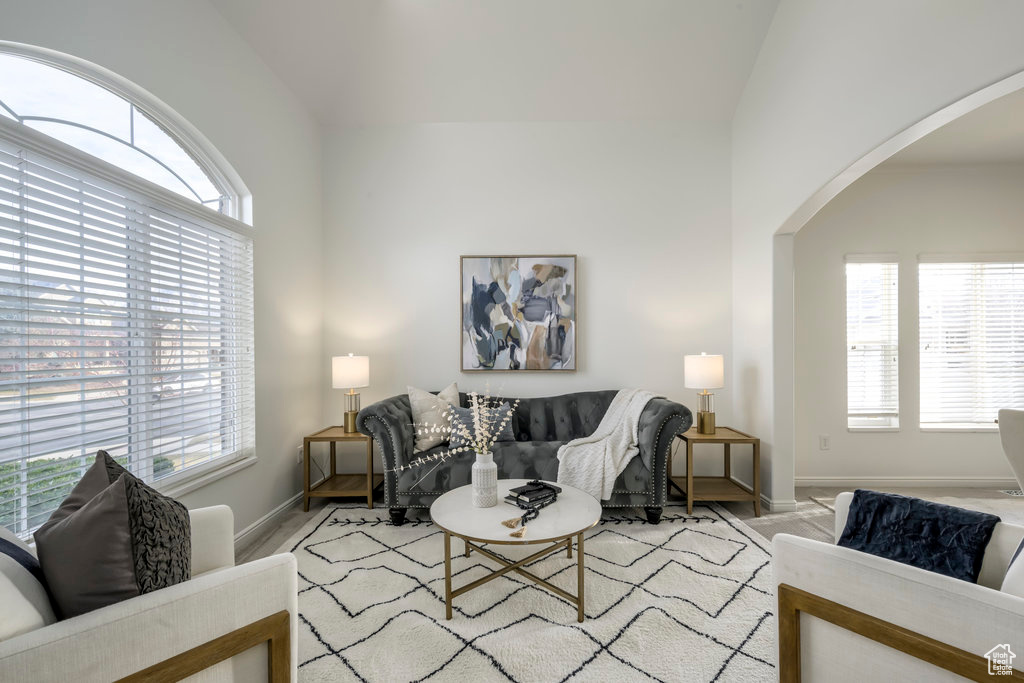 Living room featuring vaulted ceiling