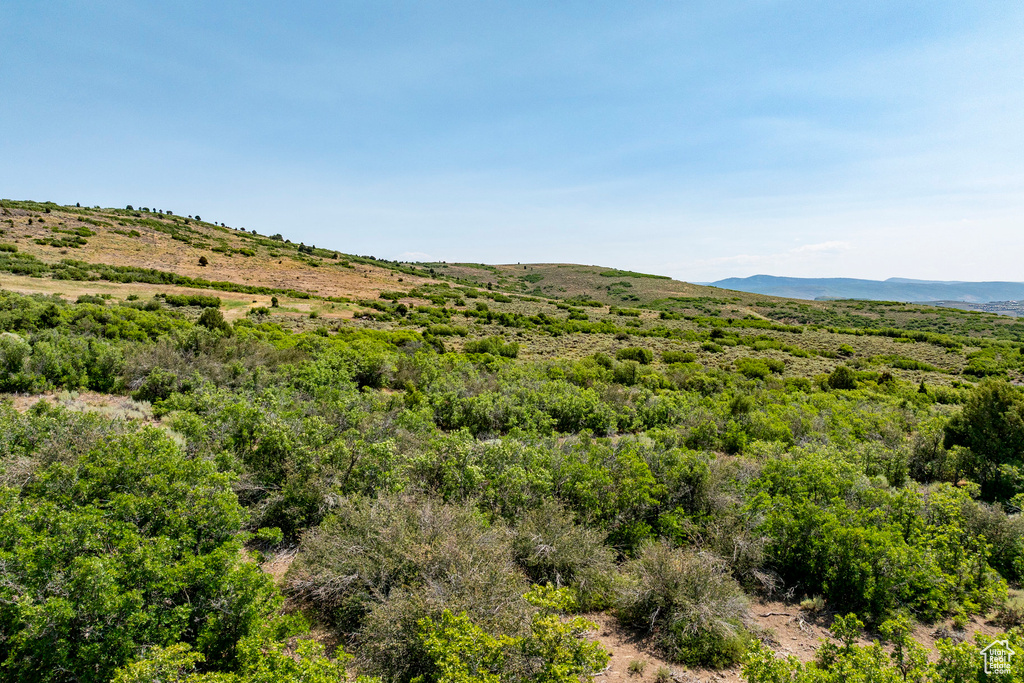 3414 E WISHBONE PL Hideout, UT 84036