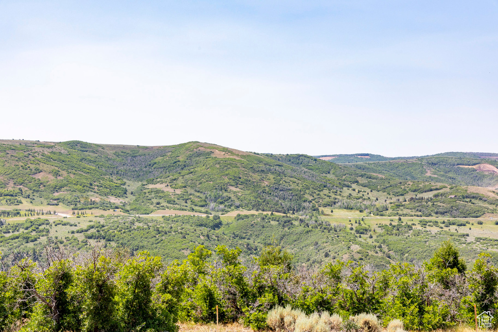3414 E WISHBONE PL Hideout, UT 84036