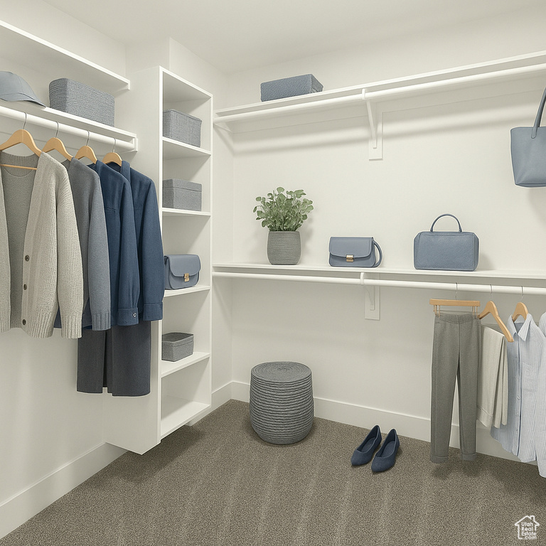 Walk in closet featuring carpet