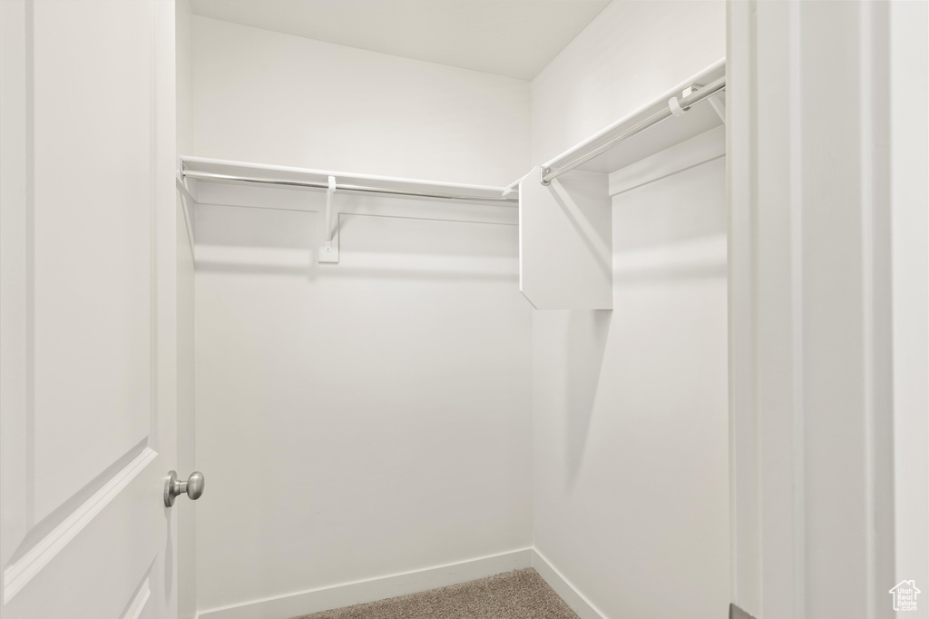 Walk in closet with carpet flooring