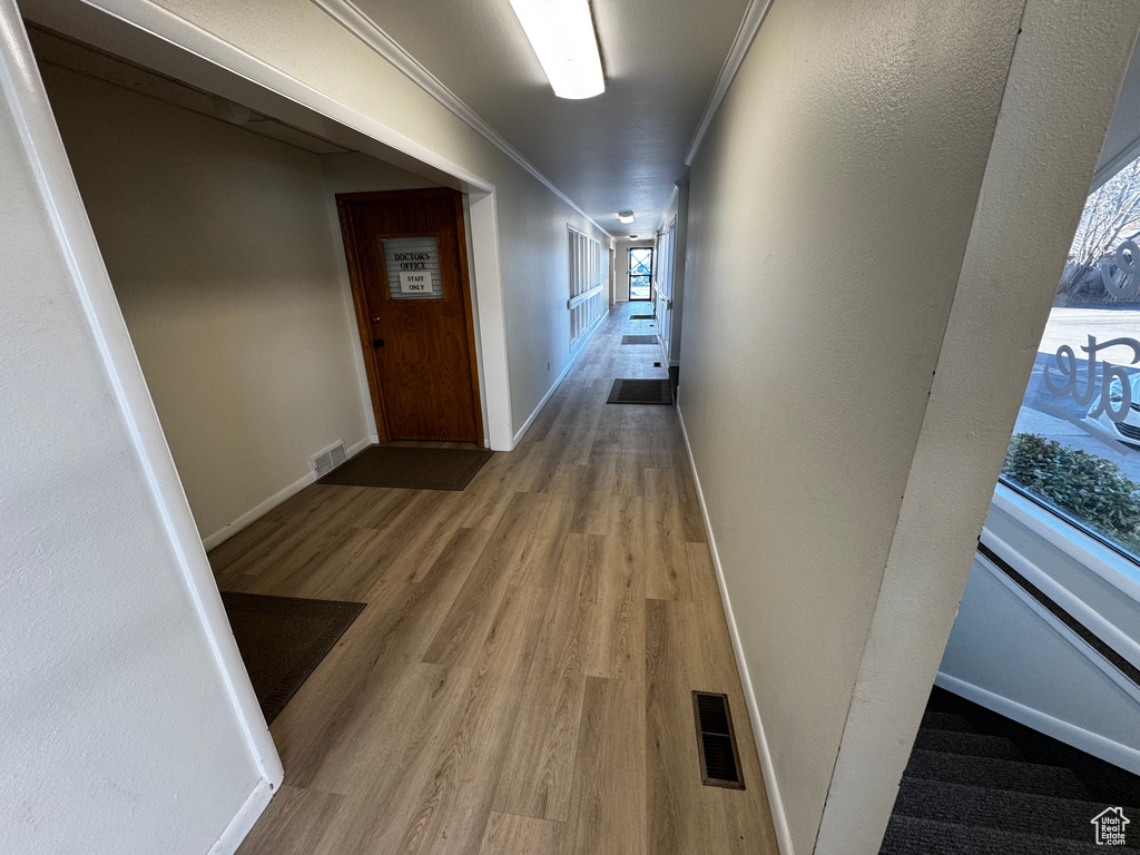 Corridor with baseboards, light wood finished floors, visible vents, and crown molding