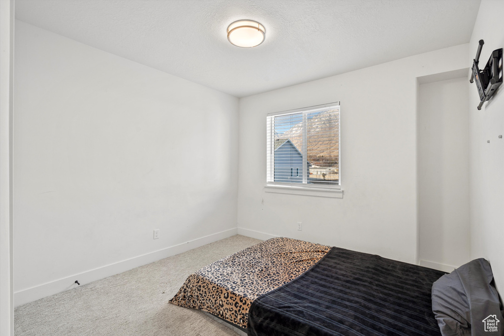 Bedroom with carpet flooring