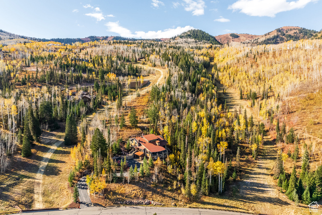 26 WHITE PINE CANYON RD Park City, UT 84060