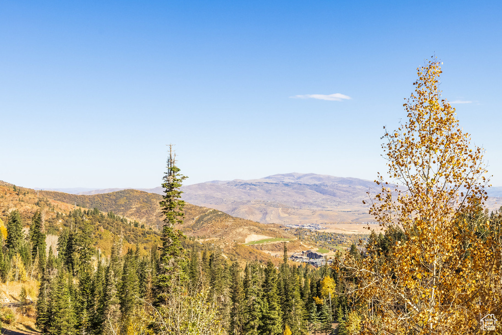 26 WHITE PINE CANYON RD Park City, UT 84060