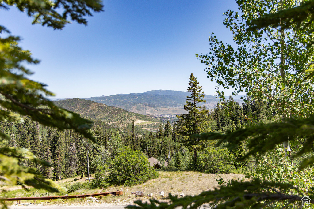 26 WHITE PINE CANYON RD Park City, UT 84060