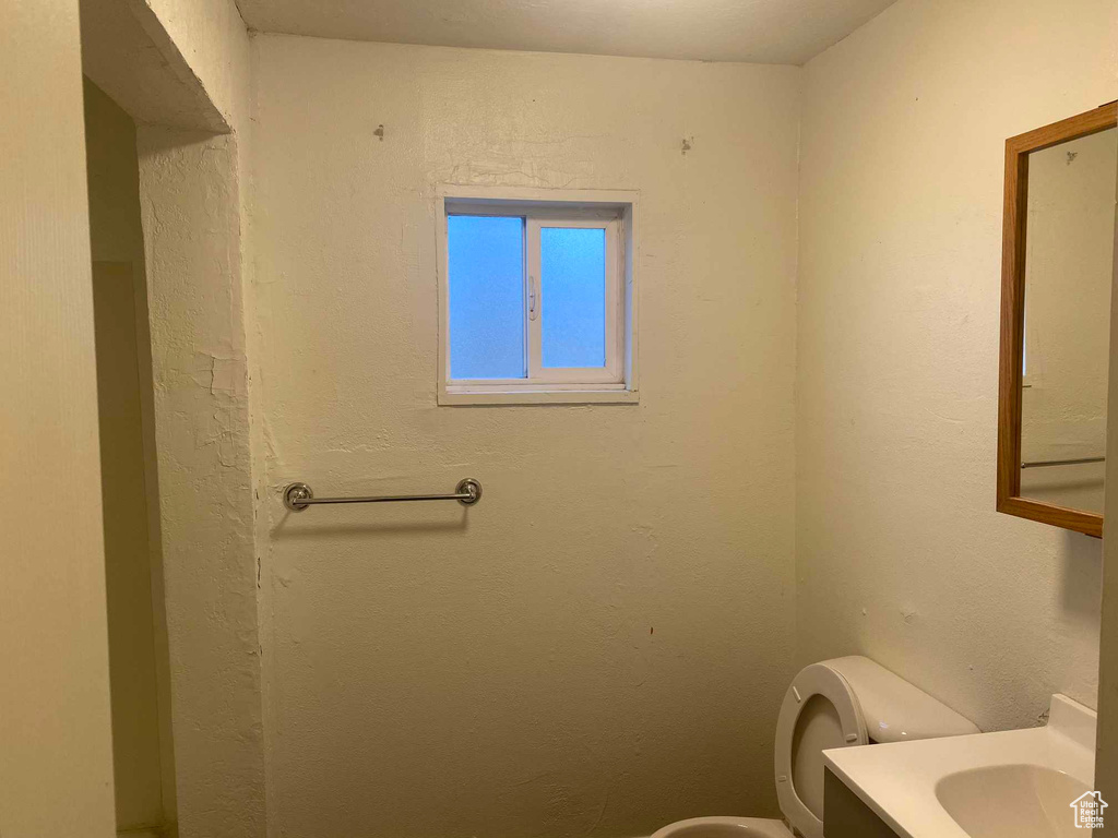 Bathroom featuring vanity and toilet