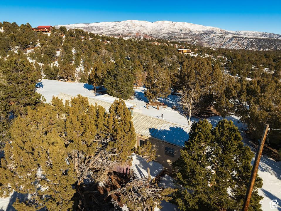 Bird\'s eye view featuring a mountain view